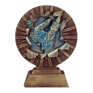 Trofeo artes marciales C-6285. Disponible 1 tamaño
