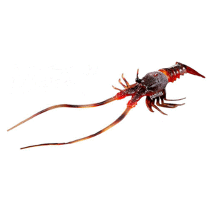 Fishus The Lobster (240 mm 54 g)