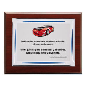 Placa homenaje F-529. Disponibles 3 tamaños