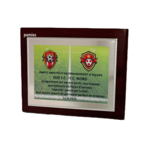 Placa homenaje estuche grabado color (sublimación). Z-9731C. Disponibles 3 tamaños