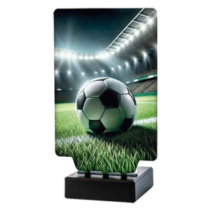 Trofeo fútbol balón N-347511. Disponibles 3 tamaños