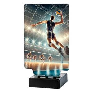 Trofeo voleibol masculino N-347391. Disponibles 3 tamaños