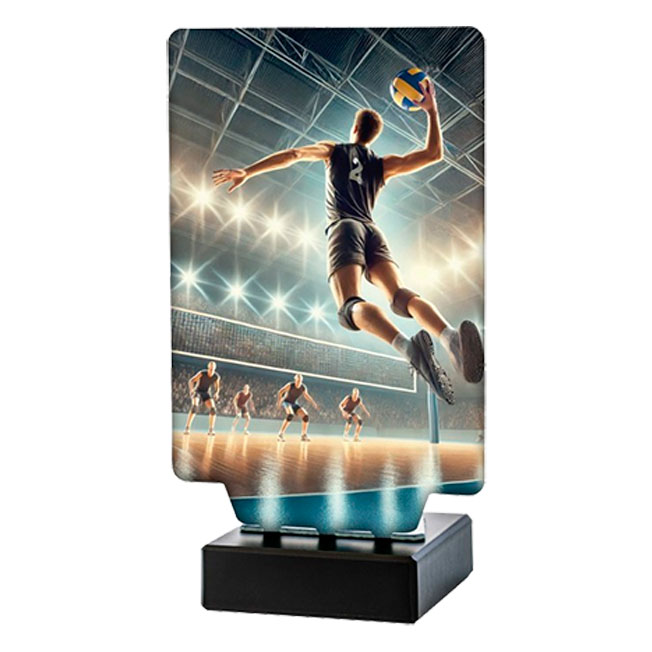 Trofeo voleibol masculino N-347391. Disponibles 3 tamaños