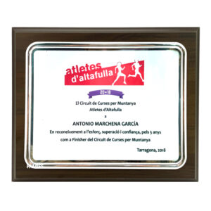 Placa homenaje Z-5607. Disponibles 3 tamaños