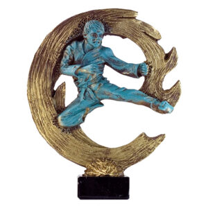 Trofeo artes marciales C-6481. Disponibles 3 tamaños