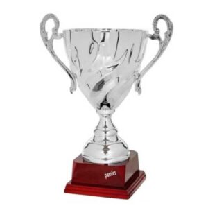 Copa de Diseño F-110-7831C. Disponibles 7 tamaños