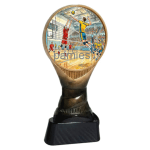 Trofeo voleibol masculino N-335331. Disponibles 3 tamaños