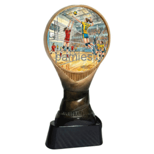 Trofeo voleibol femenino N-335331. Disponibles 3 tamaños